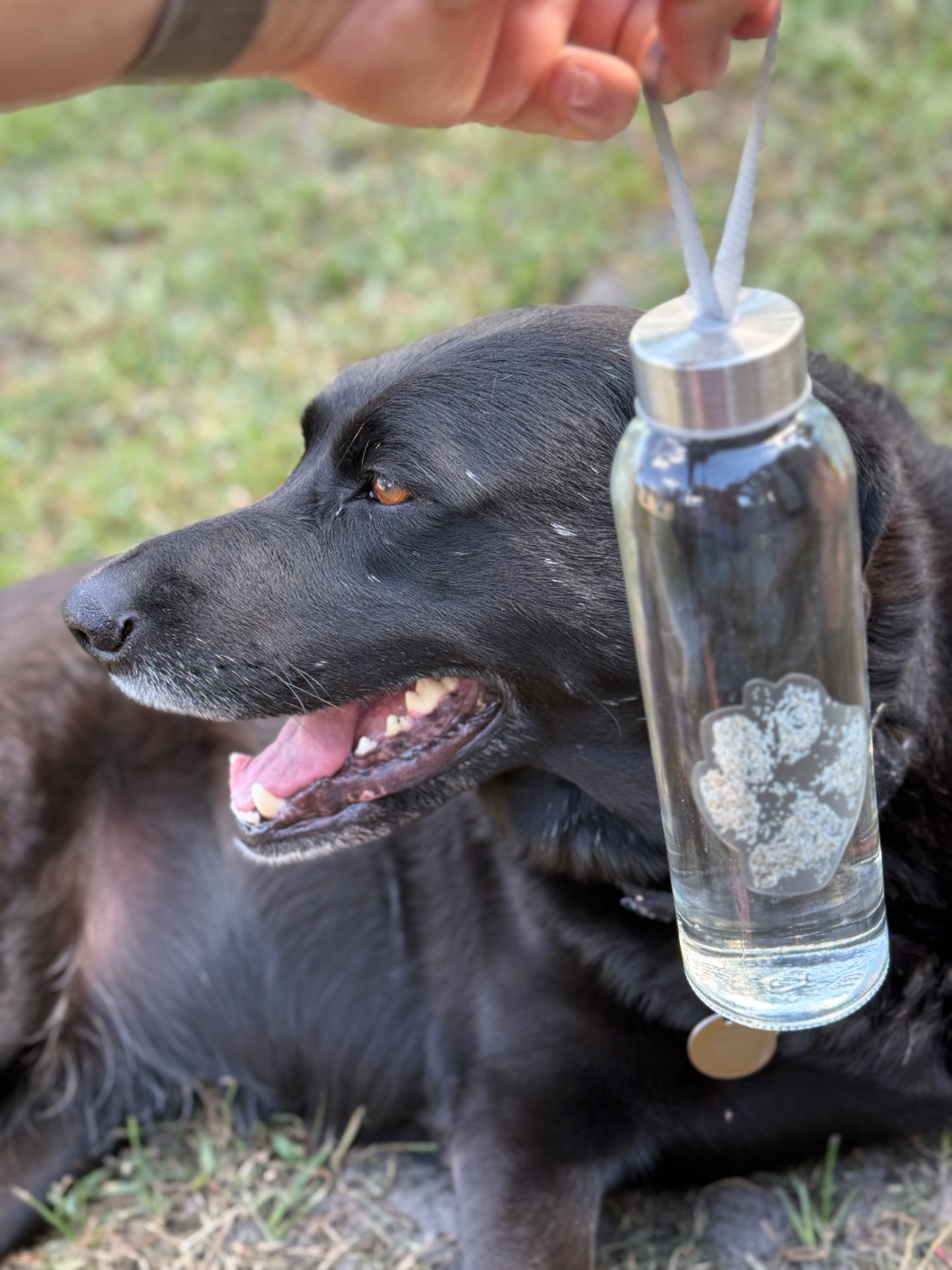 Grounded by Love – Dog Sandy Paw print