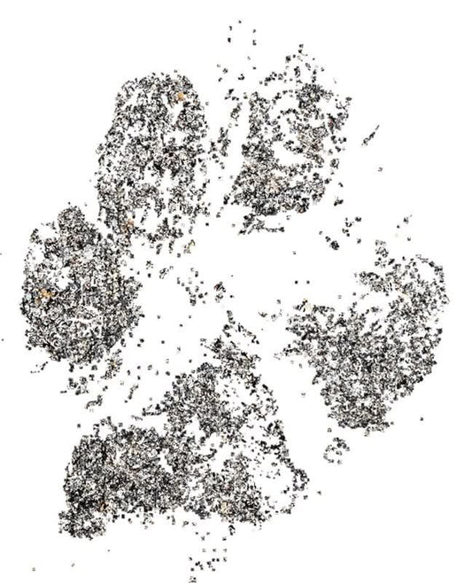 Grounded by Love – Dog Sandy Paw print